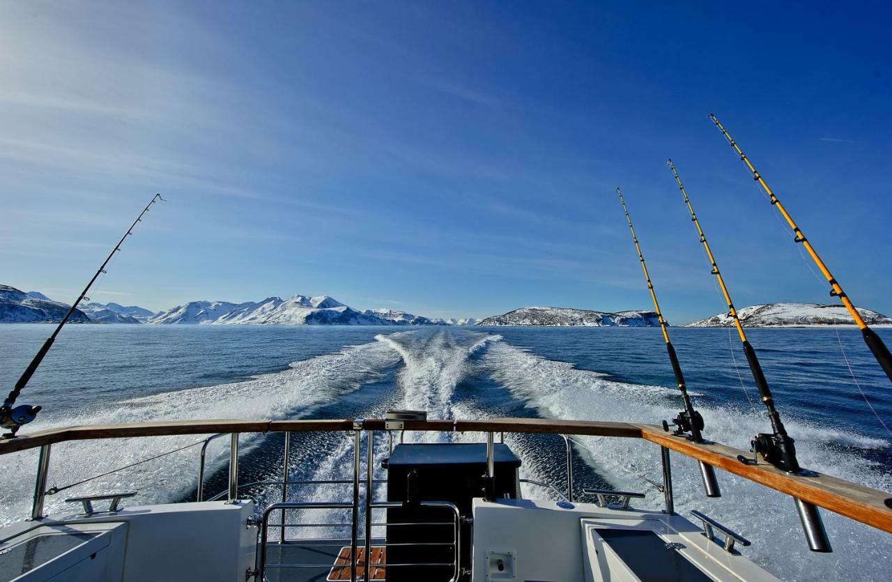 Lyngen Experience Apartments Nord-Lenangen Eksteriør billede